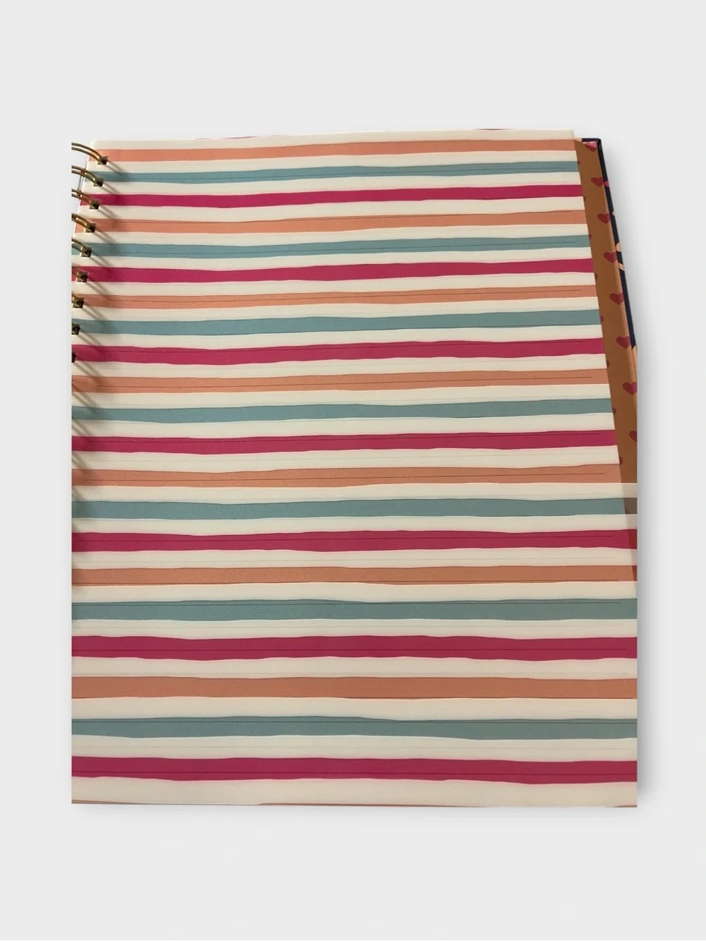 🌸 Meet Your New Favorite Organizer: James Burke Axolotl Spiral Notebook 🌸